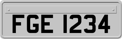 FGE1234