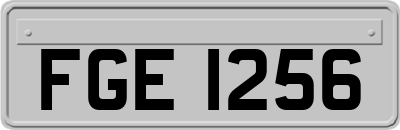FGE1256