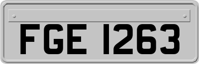 FGE1263
