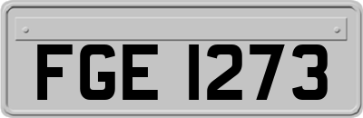 FGE1273