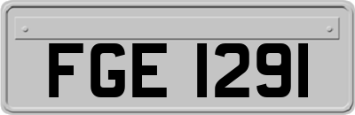 FGE1291