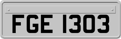 FGE1303