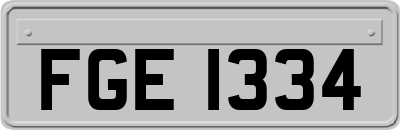FGE1334