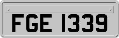 FGE1339