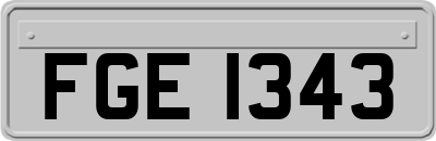 FGE1343
