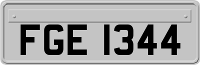 FGE1344