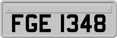 FGE1348