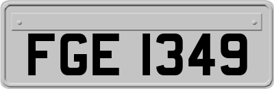 FGE1349
