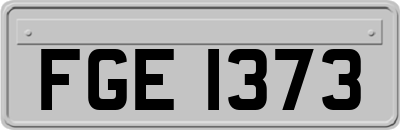 FGE1373