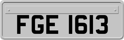 FGE1613