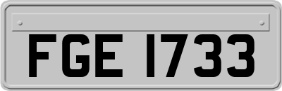 FGE1733