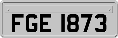 FGE1873