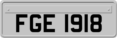 FGE1918