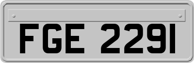 FGE2291