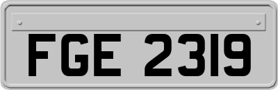 FGE2319