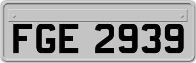FGE2939