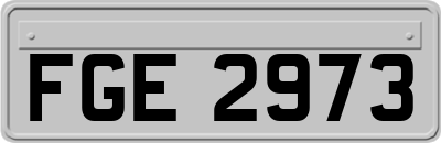 FGE2973
