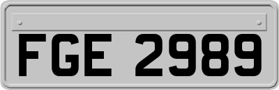 FGE2989