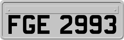 FGE2993