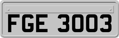 FGE3003