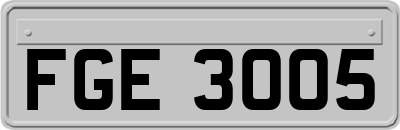 FGE3005