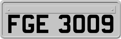 FGE3009