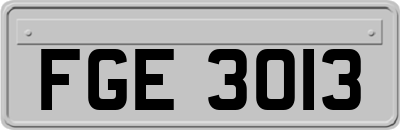 FGE3013