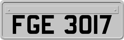 FGE3017