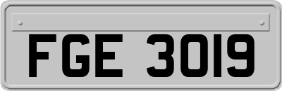 FGE3019