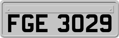 FGE3029