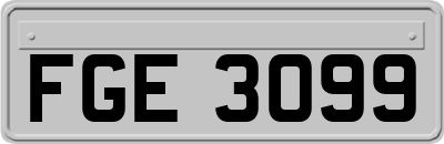 FGE3099