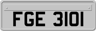 FGE3101