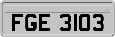 FGE3103