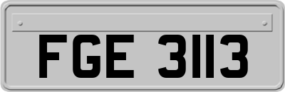 FGE3113