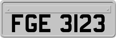 FGE3123