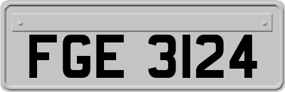 FGE3124