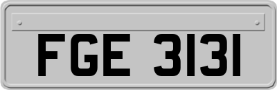 FGE3131