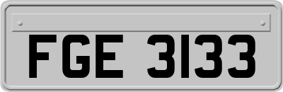FGE3133