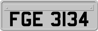FGE3134