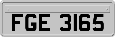 FGE3165