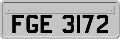 FGE3172