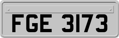 FGE3173