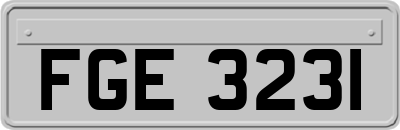 FGE3231