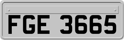 FGE3665