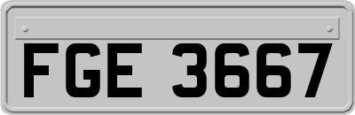 FGE3667