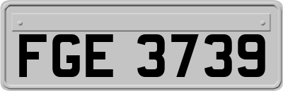 FGE3739