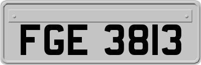 FGE3813
