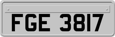 FGE3817