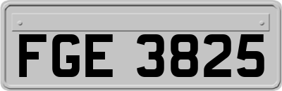FGE3825