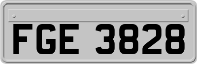FGE3828